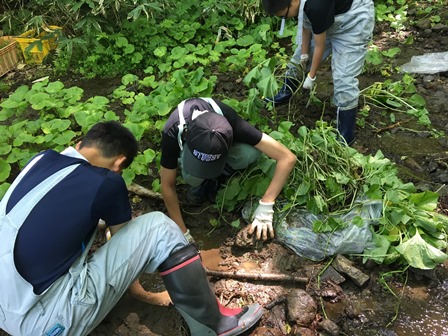 北海道本わさび松本研究苑