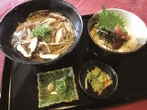 稲庭うどんと ミニまぐろとろろ丼 稲庭うどんと ミニまぐろとろろ丼